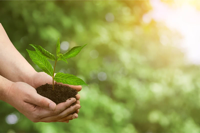 Eco-friendly dry cleaning practices